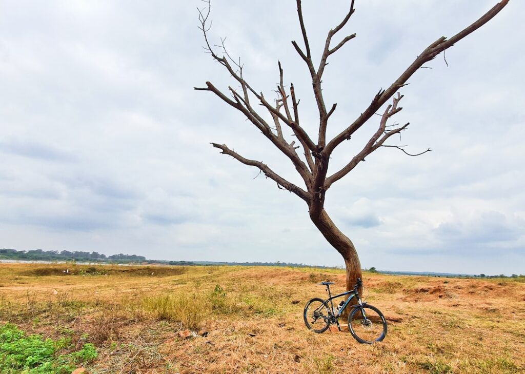 Learn how iMaintain's Enterprise Asset Management Software facilitates comprehensive management of physical assets throughout