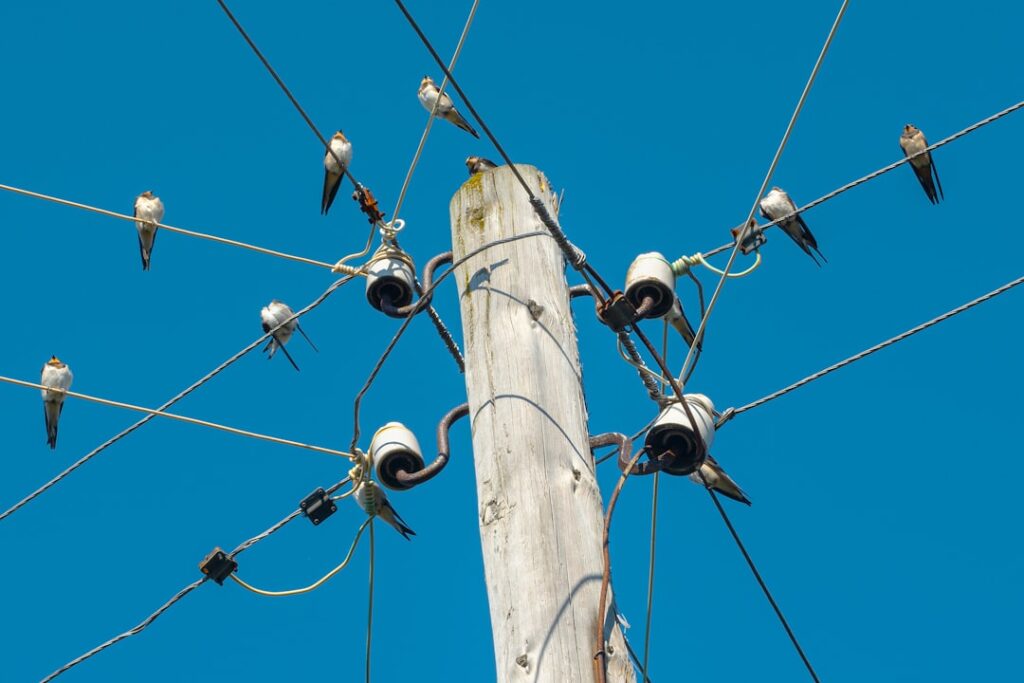 Discover how our AI-Powered Wire Drawing Monitoring system prevents product damage with 80% success, saving 25 km of wire mon