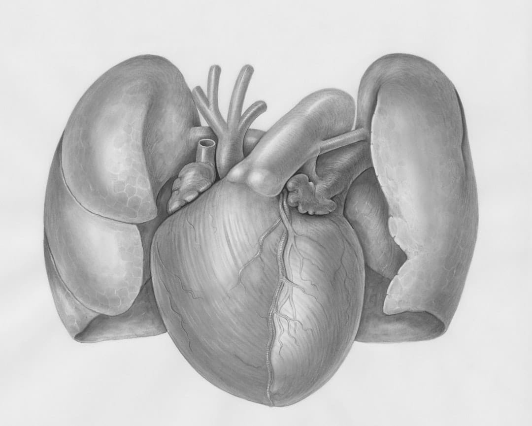 Predictive Maintenance for ECG Systems: Ensuring Reliable Cardio ...